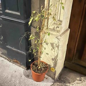 22 rue du Printemps 75017