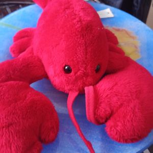 Jouet pour chien chat 