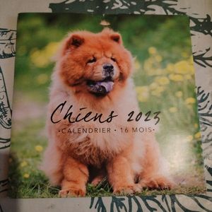 Calendrier chiens pour photos 