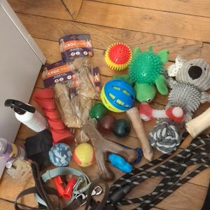 Donne jouet et produits pour chien