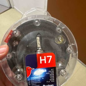 ampoule pour voiture clio