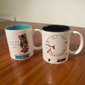 Deux mugs chat