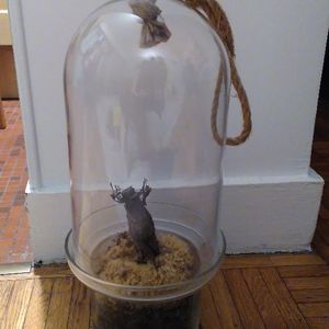 Pot à terrarium