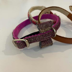 3 colliers pour chat