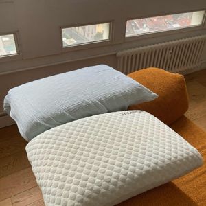 Deux oreillers mémoire de forme 