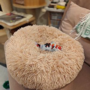 Coussin chat neuf + jouet poisson (kicker) 