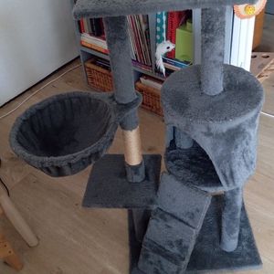 Arbre à chat